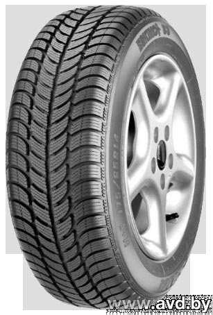 Купить Шины Sava Eskimo S3+ 165/65R14 79T  в Минске.