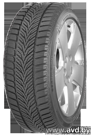 Купить Шины Sava Eskimo HP 195/55R16 87H  в Минске.