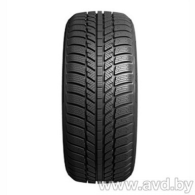 Купить Шины Evergreen EW62 205/60R16 96H  в Минске.