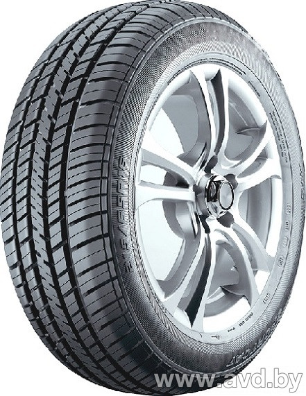 Купить Шины Fortune FSR-301 215/60R17 96H  в Минске.