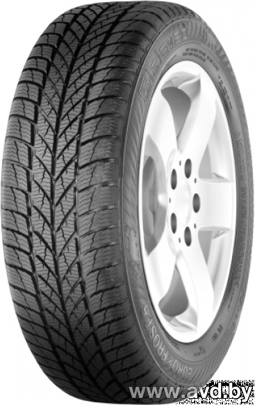 Купить Шины Gislaved Euro*Frost 5 205/55R16 91H  в Минске.