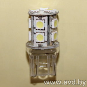 Купить Лампы автомобильные SCT Canbus LED W16W 2шт (210377)  в Минске.