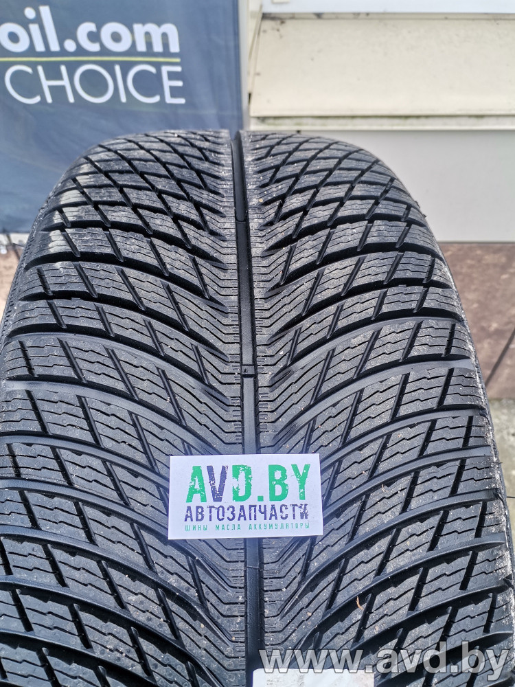 Купить Шины Michelin Pilot Alpin 5 SUV 225/55R19 103V в Минске.