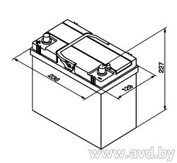 Купить Автомобильные аккумуляторы AAA Linear (asia) 45Ah 330A рус  в Минске.