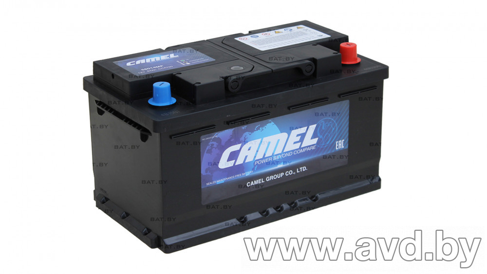 Купить Автомобильные аккумуляторы CAMEL 58014 euro низкий (84 А·ч)  в Минске.