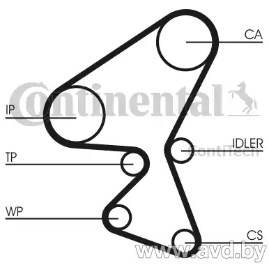 Купить Комплекты ГРМ Contitech с помпой CT1063WP1  в Минске.