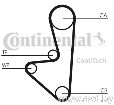 Купить Комплекты ГРМ Contitech с помпой CT1066WP1  в Минске.