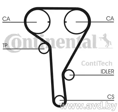 Купить Комплекты ГРМ Contitech с помпой CT1077WP2  в Минске.