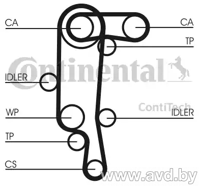 Купить Комплекты ГРМ Contitech с помпой CT957WP4  в Минске.