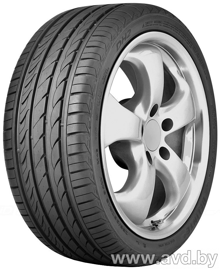 Купить Шины Delinte DH2 225/55R17 101W в Минске.