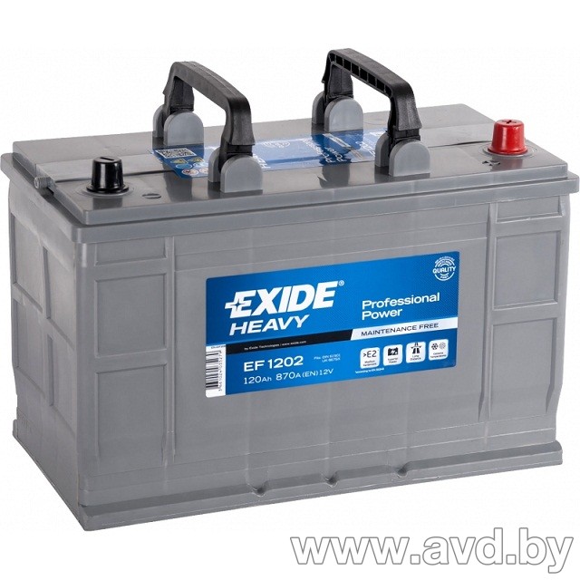 Купить Автомобильные аккумуляторы Exide Professional Power EF1202 (120 А/ч)  в Минске.