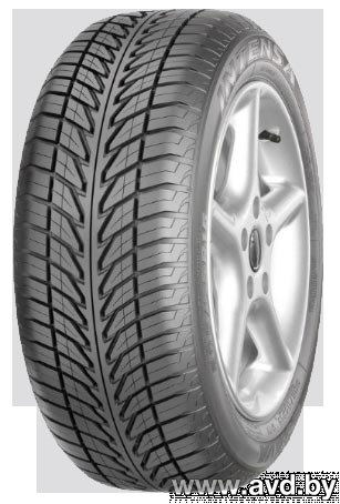 Купить Шины Sava Intensa 205/55R16 91W  в Минске.