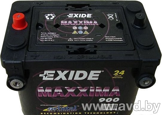 Купить Автомобильные аккумуляторы Exide MAXXIMA 900 (50 А/ч) в Минске.