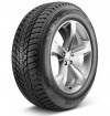 Купить Шины Roadstone Winguard Ice Plus 175/70R14 88T  в Минске.